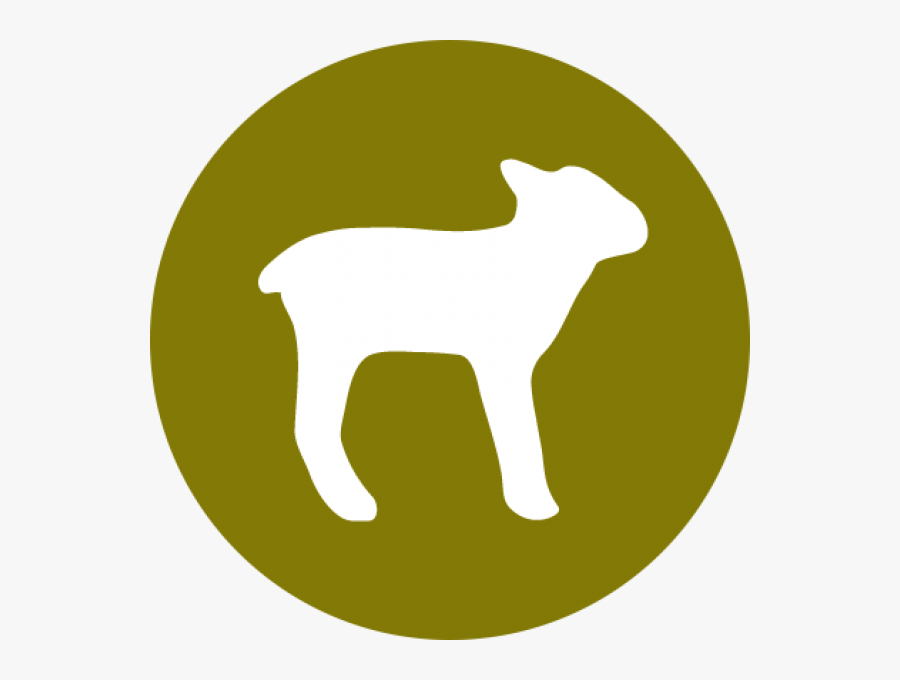 Cat, Transparent Clipart