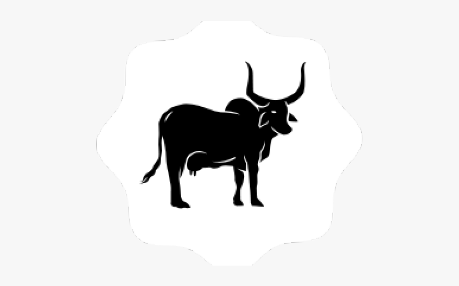 Ox Clipart Gir Cow - Horn, Transparent Clipart