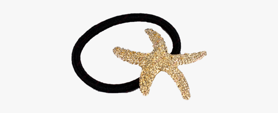 Marine Invertebrates, Transparent Clipart