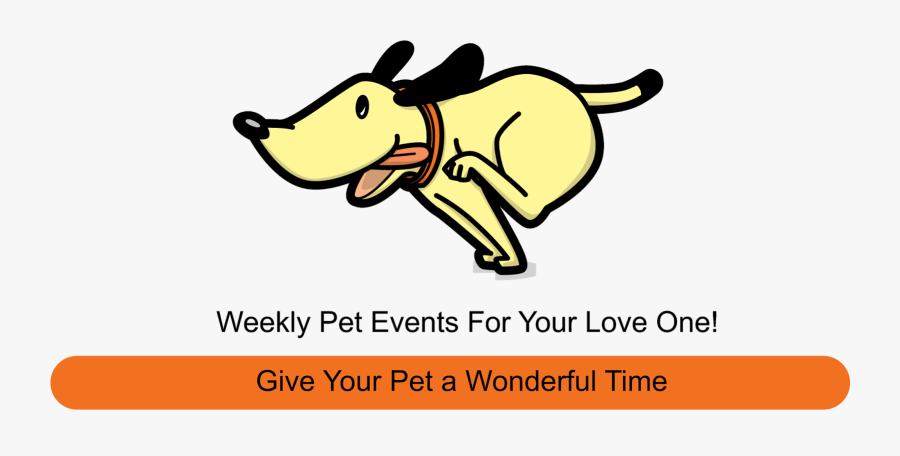Connect With 5-star Sitters And Dog Walkers Near You - Run Like A Dog, Transparent Clipart