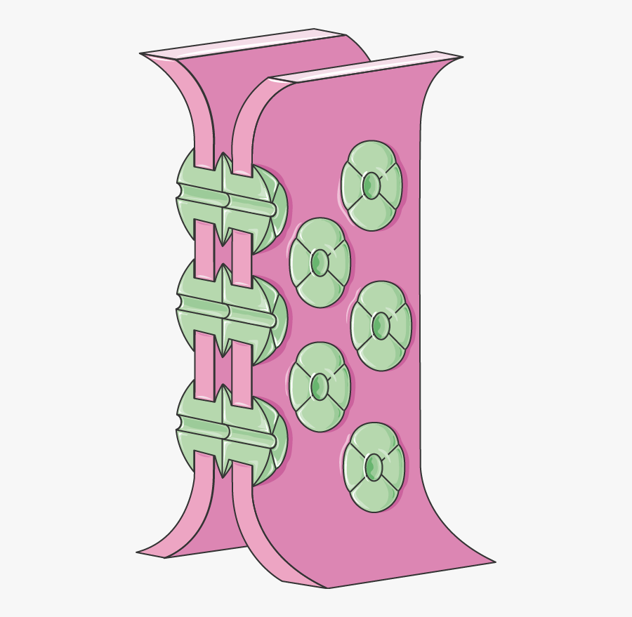 Junções Comunicantes, Transparent Clipart