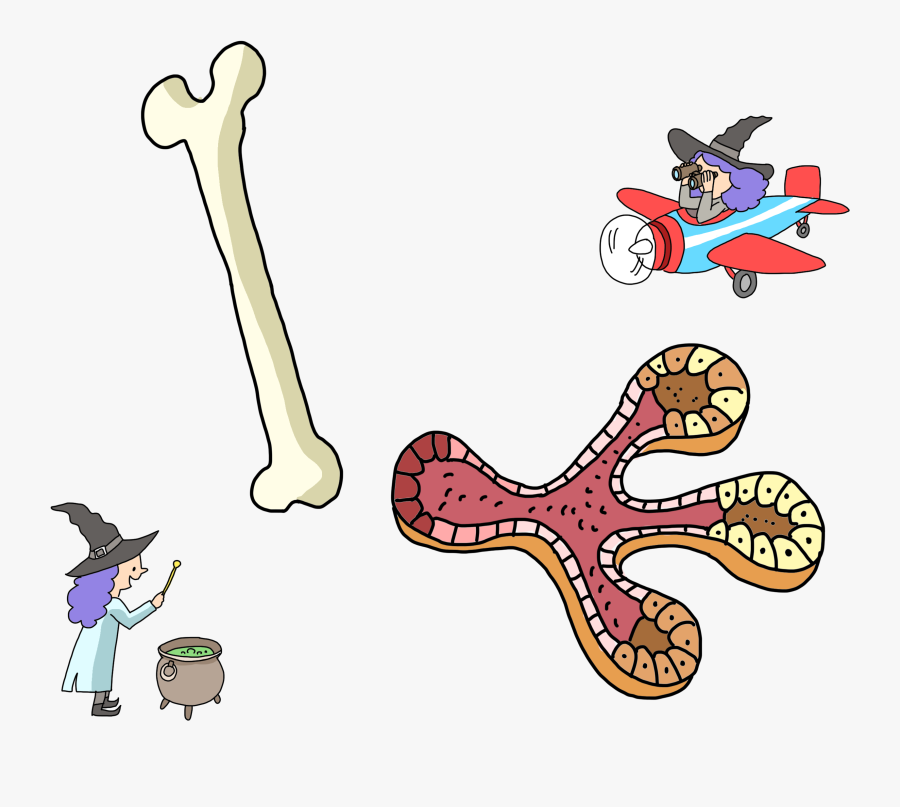 Cartoon, Transparent Clipart