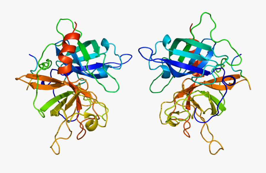 Protein Plat Pdb 1a5h - Tissue Plasminogen Activator Structure, Transparent Clipart