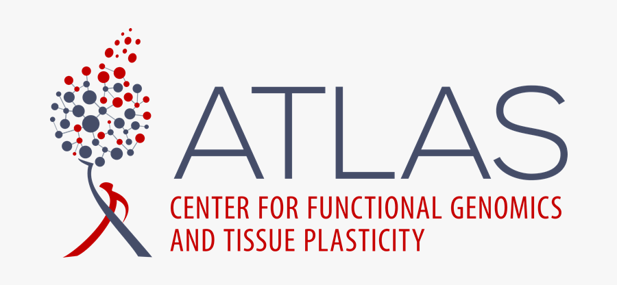 Available Postdoc Positions At Center For Functional - Geospatial Media Logo, Transparent Clipart