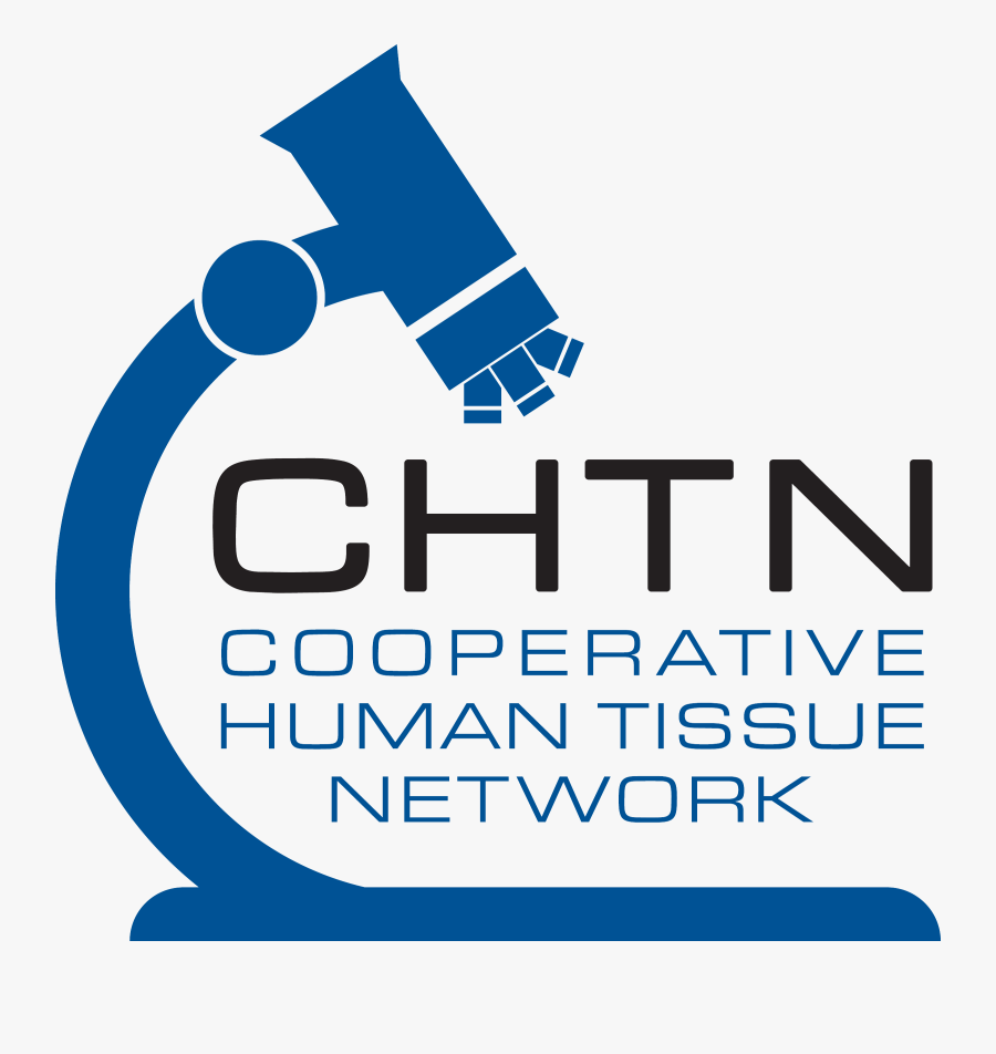 Cooperative Human Tissue Network, Transparent Clipart