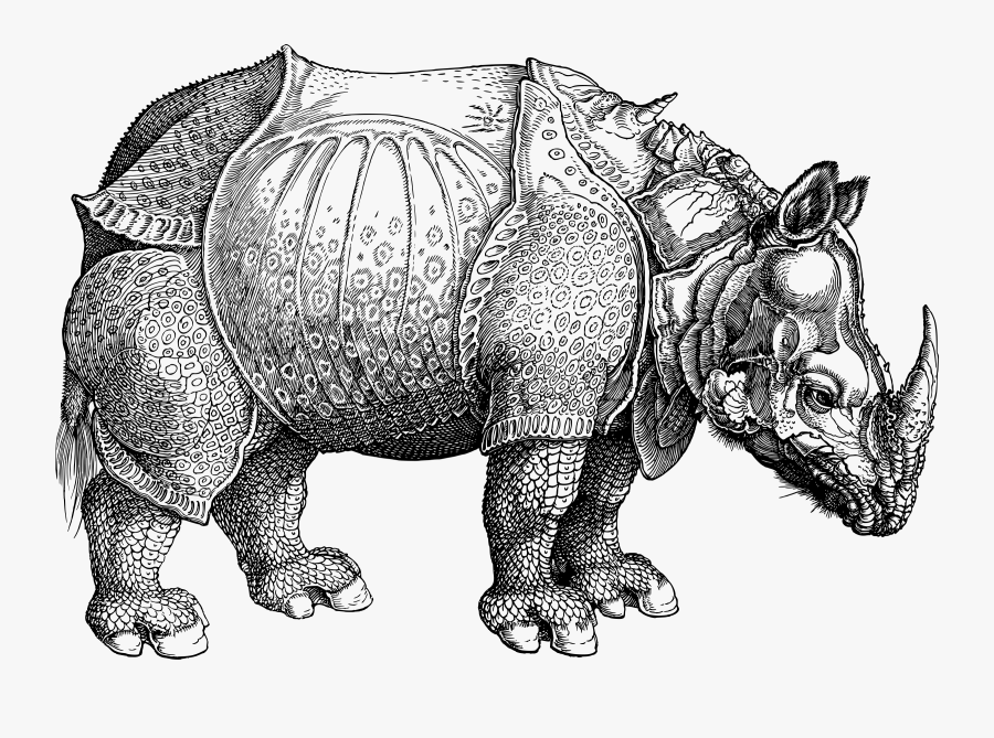 Rhinoceros 3 Clip Arts - Albrecht Durer Mark Making, Transparent Clipart