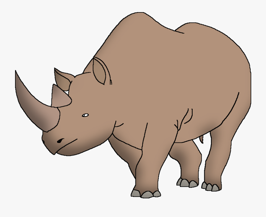 Wildlife Animal Pedia Wiki - Black Rhinoceros, Transparent Clipart