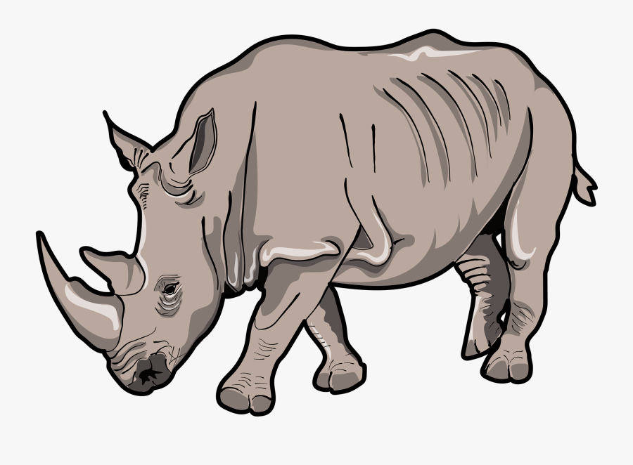 Carnivore Animals Clip Art - Black Rhinoceros, Transparent Clipart