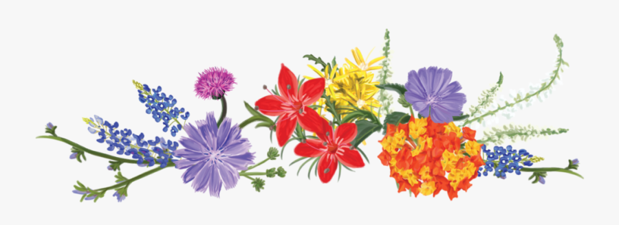 Texas Wildflowers Border Clip Art , Free Transparent Clipart - ClipartKey