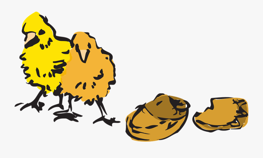 Egg, Chicks, Birds, Chicken, Babies, Cracked, Fuzzy - Chicken, Transparent Clipart