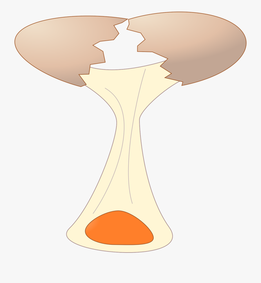 Gambar Animasi Telur Pecah, Transparent Clipart