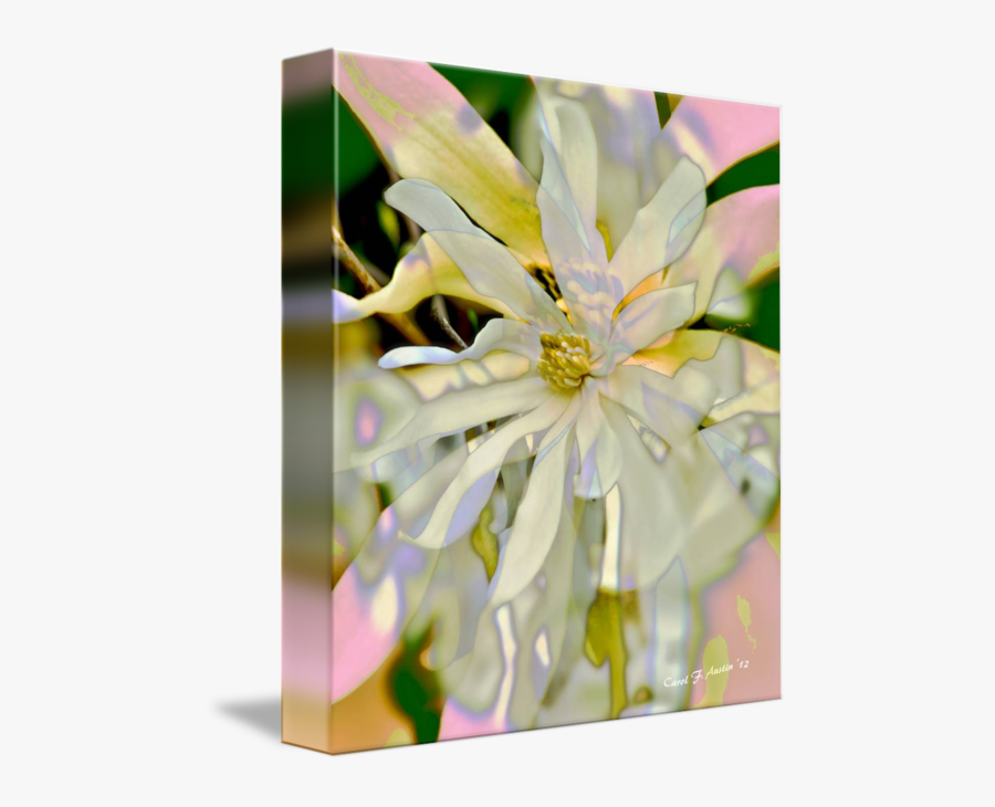 Clip Art Botanical Wall Art - Chrysanths, Transparent Clipart