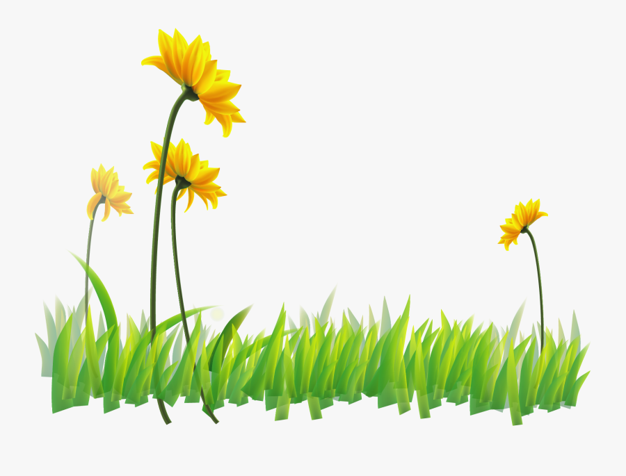 Transparent Narcissus Clipart - Sunflower, Transparent Clipart