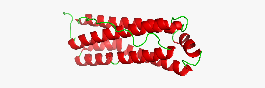 Mitochondrial Ferritin, Transparent Clipart