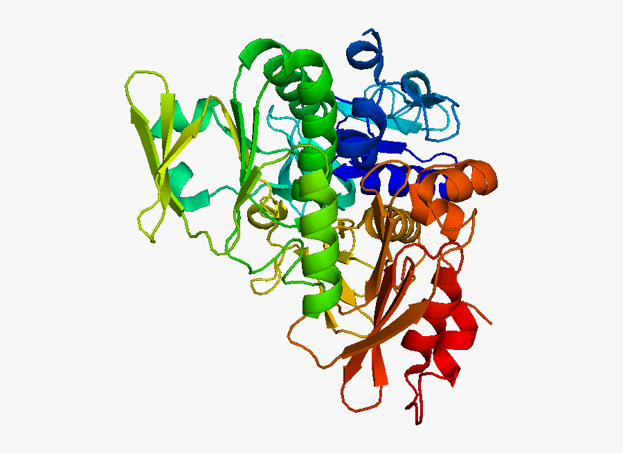 Apoptosis Inducing Factor - Aif Apoptosis, Transparent Clipart