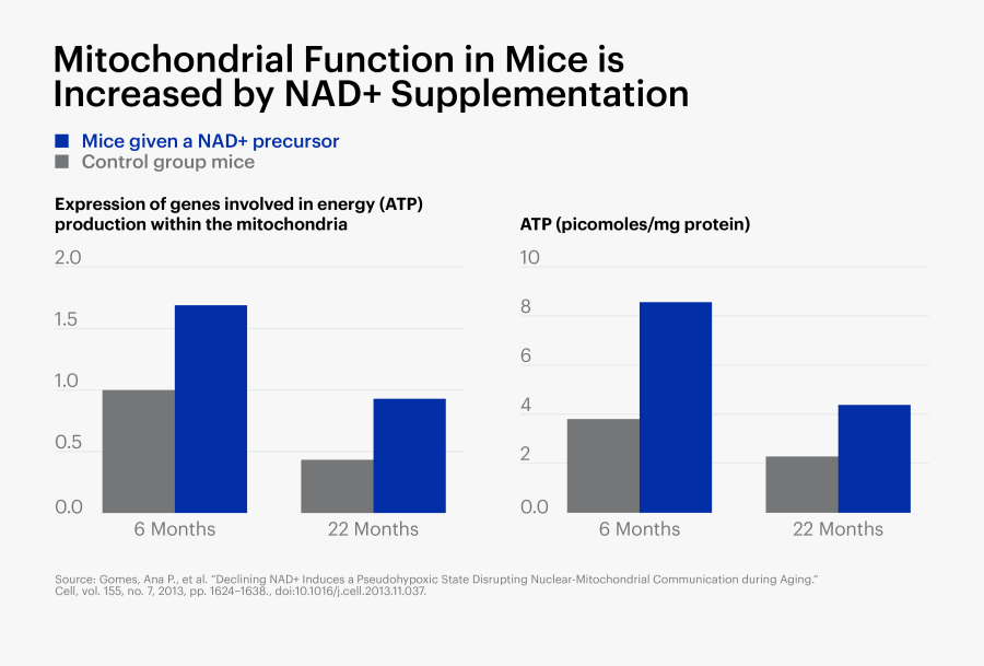 Diagram, Transparent Clipart