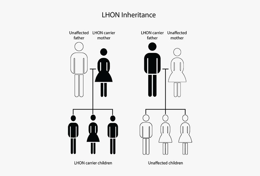 Leber's Hereditary Optic Neuropathy Symptoms, Transparent Clipart