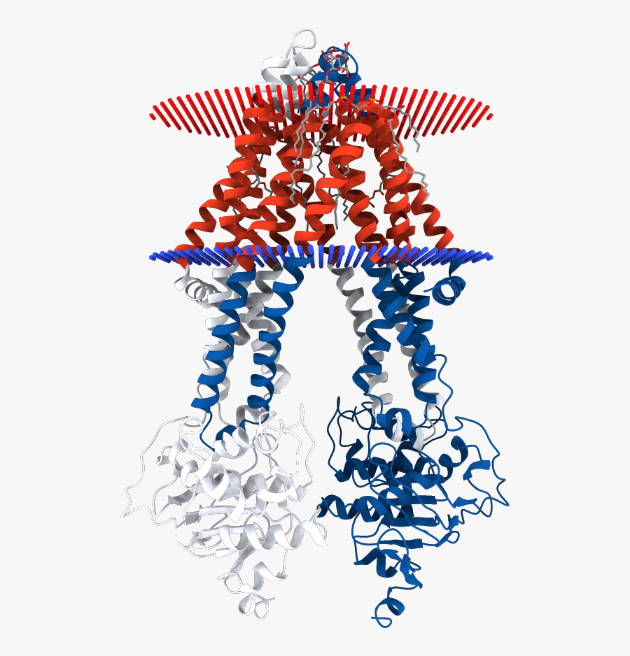 Illustration, Transparent Clipart