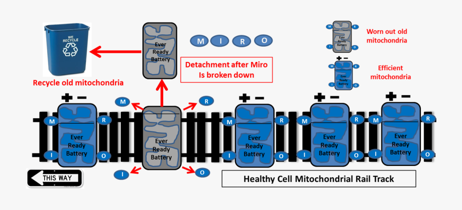 Diagram, Transparent Clipart
