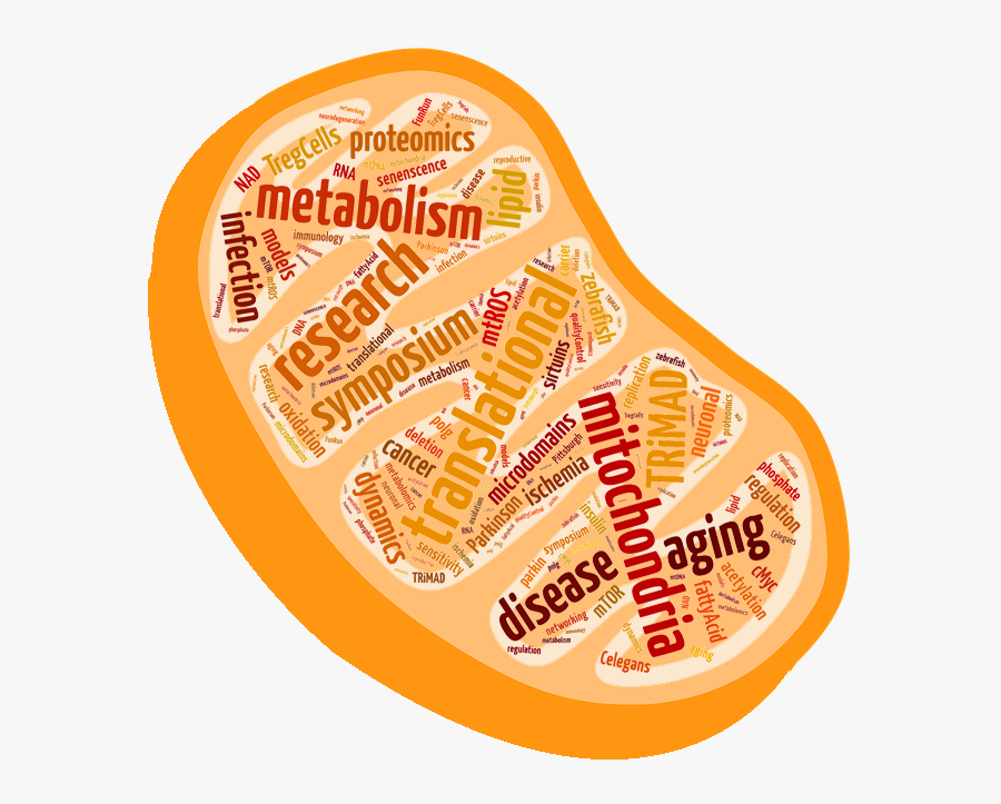 775 Jahre Strausberg, Transparent Clipart