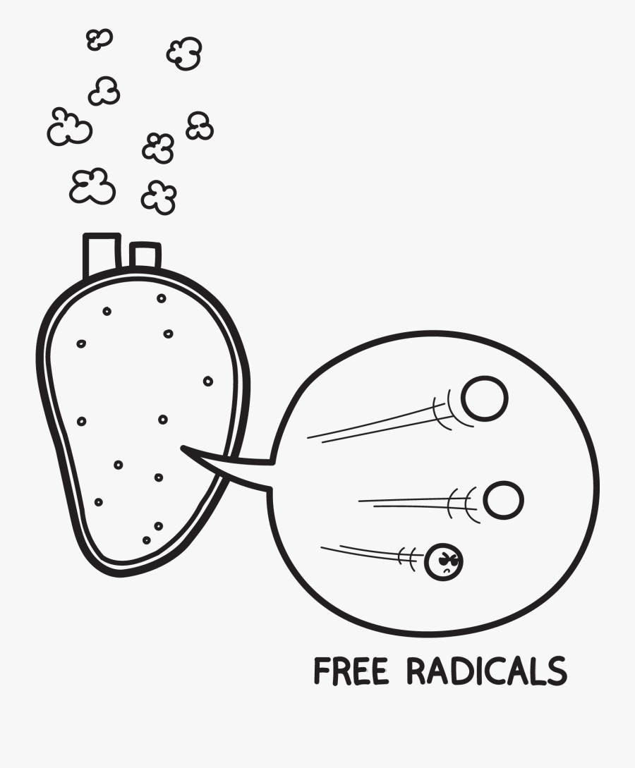 Mitochondria Important To The Cell, Transparent Clipart