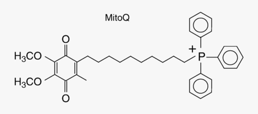 Diagram, Transparent Clipart
