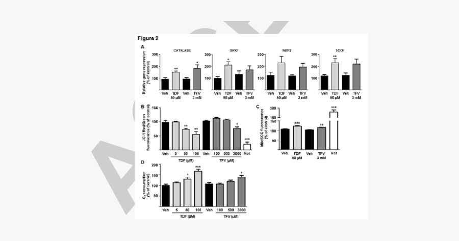 Tdf And Tfv Affect Mitochondrial Function Of Nrk52e - Illustration, Transparent Clipart