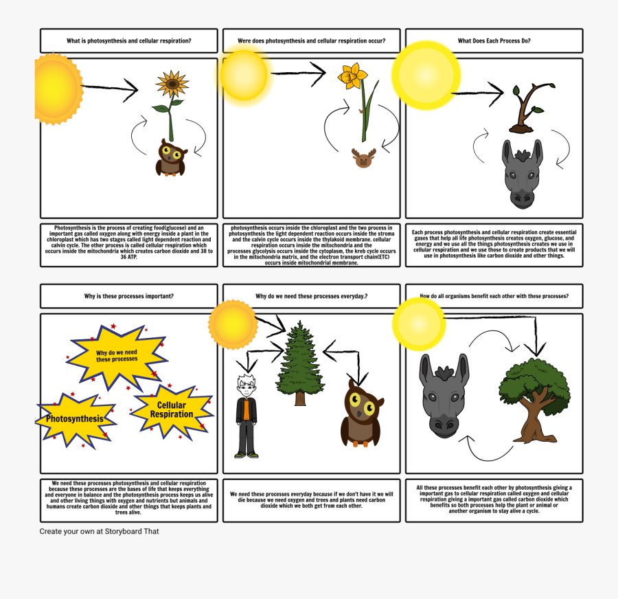 Newton's First Law Hockey Puck, Transparent Clipart