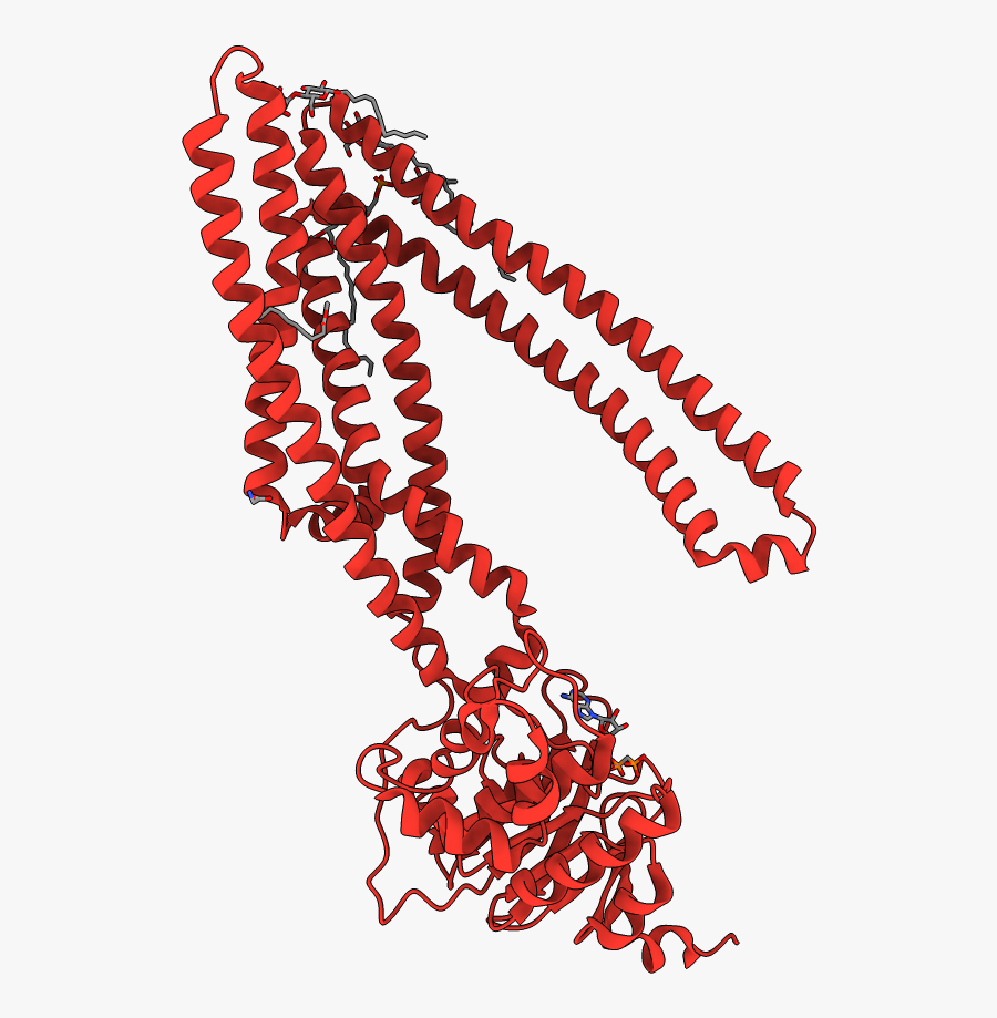 Illustration, Transparent Clipart