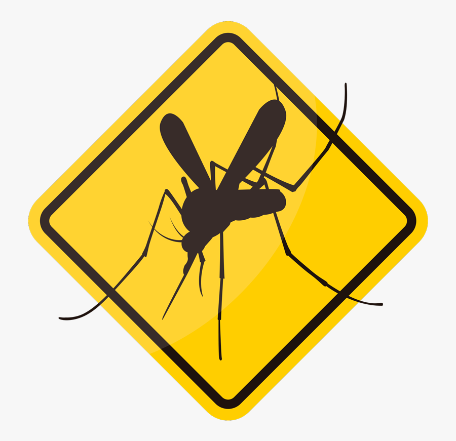 Mosquito, Transparent Clipart