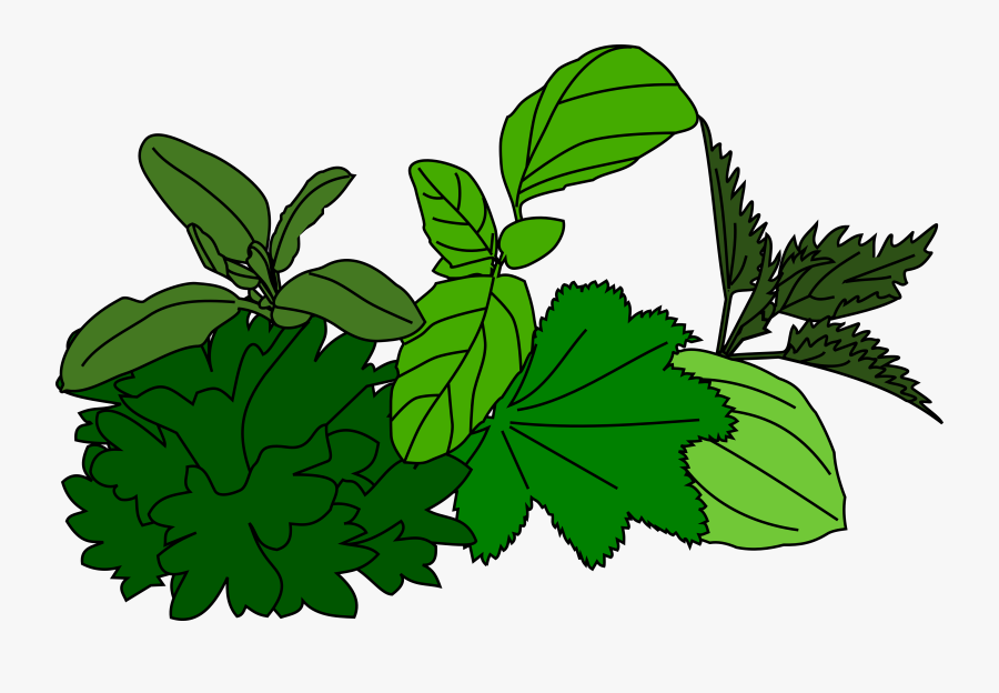 Clip Art, Transparent Clipart