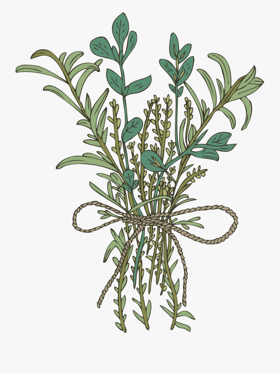 Pittosporaceae, Transparent Clipart