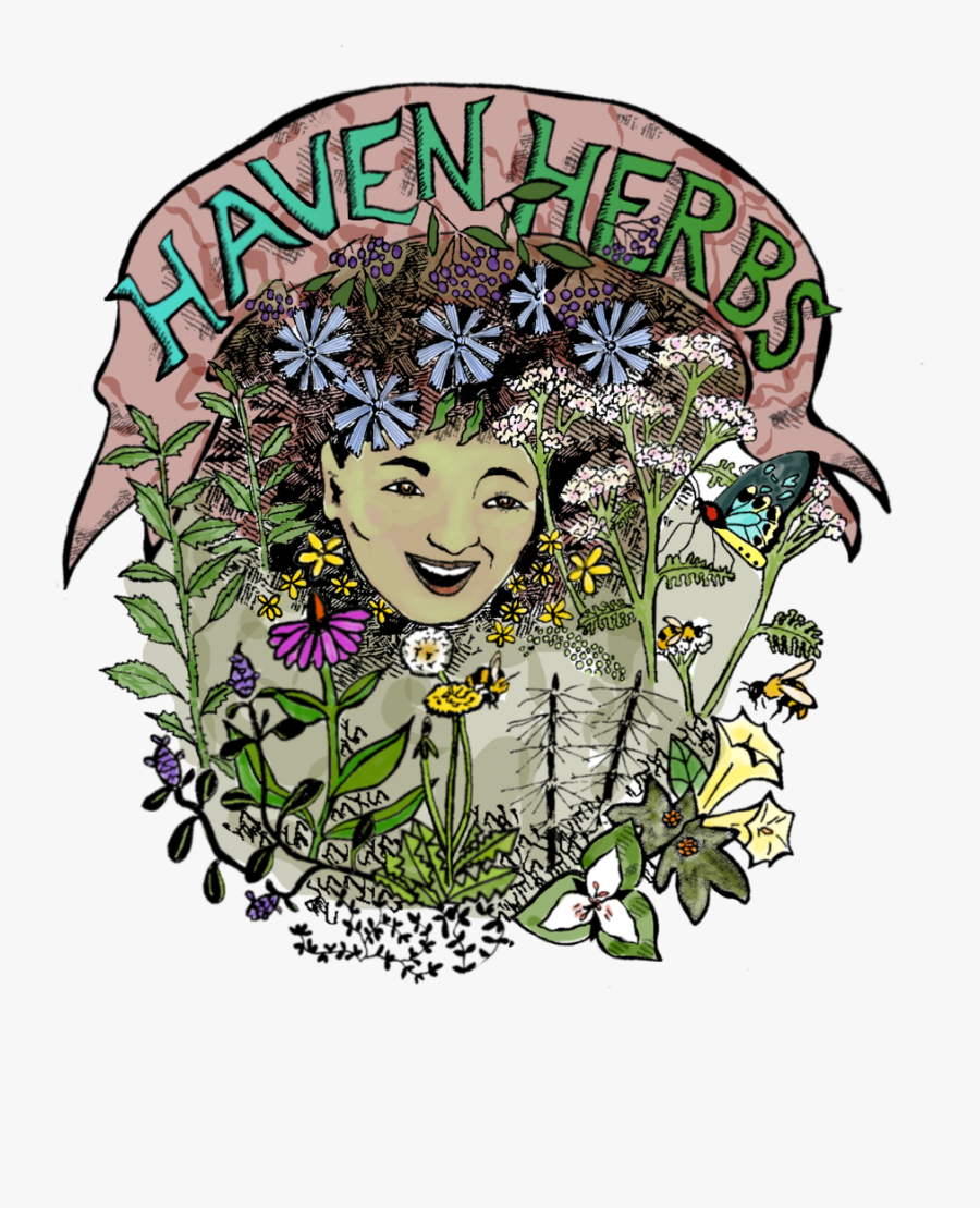 Illustration, Transparent Clipart