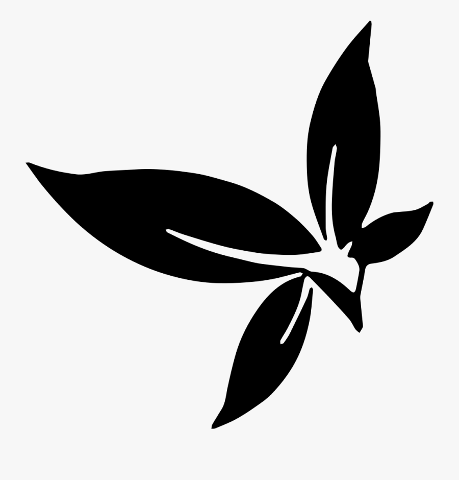 Wild Herbs - Illustration, Transparent Clipart