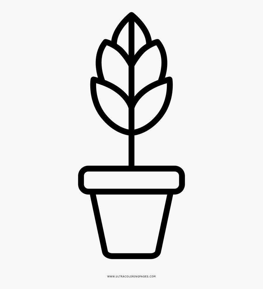 Herbs Coloring Page - Coloring Book, Transparent Clipart