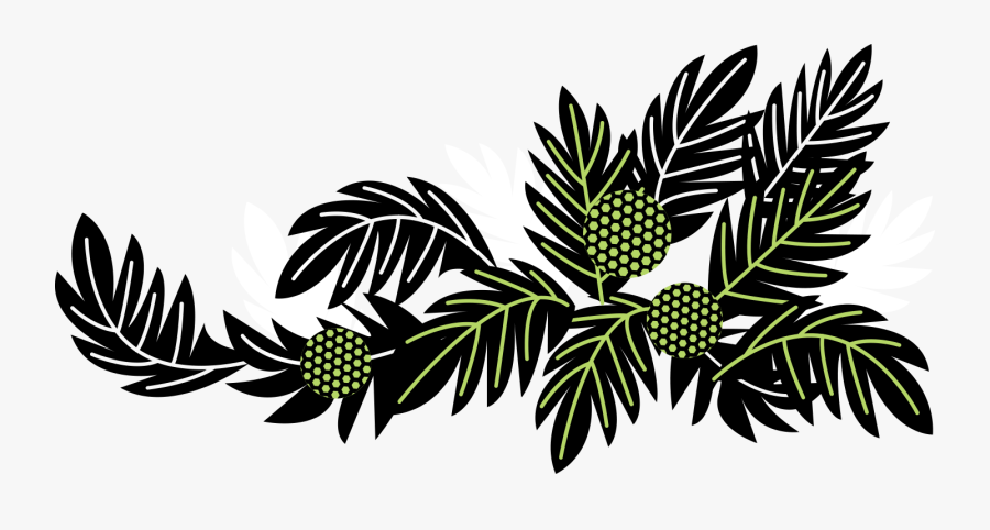 2 Ulu Kelseyige, Transparent Clipart