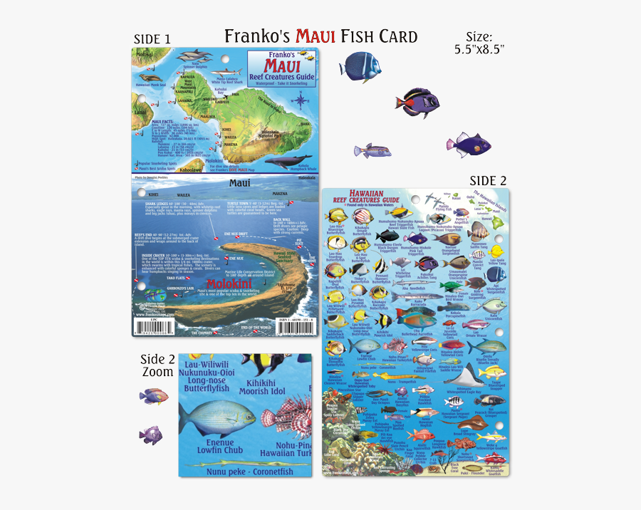 Transparent Hawaiian Fish Hook Clipart - Hawaii Big Island Fish, Transparent Clipart