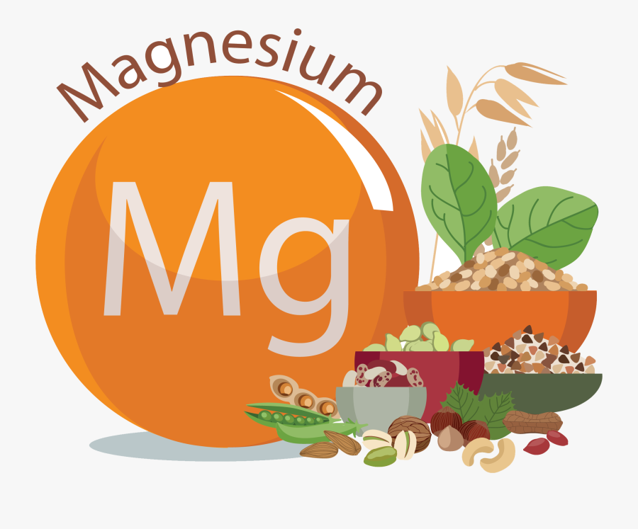 Potassium And Magnesium Foods Clipart, Transparent Clipart