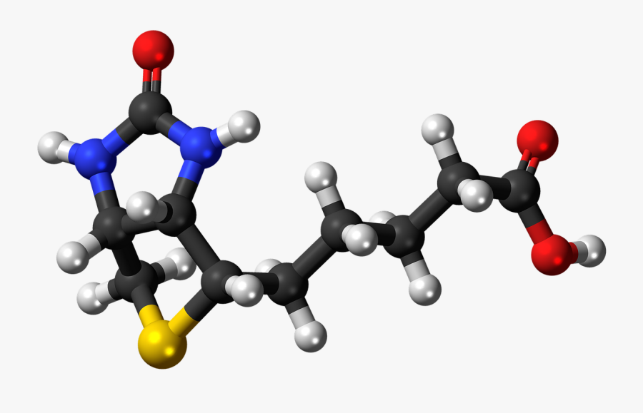 All About Biotin - Biotin Molecule, Transparent Clipart