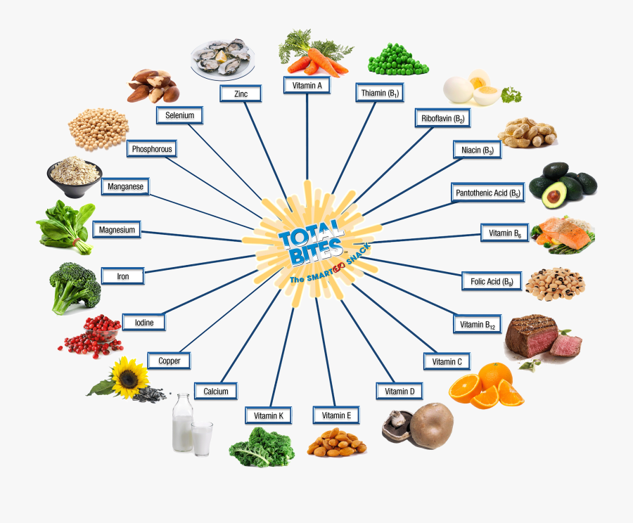 be your best nutrition bybn total bites active seniors
