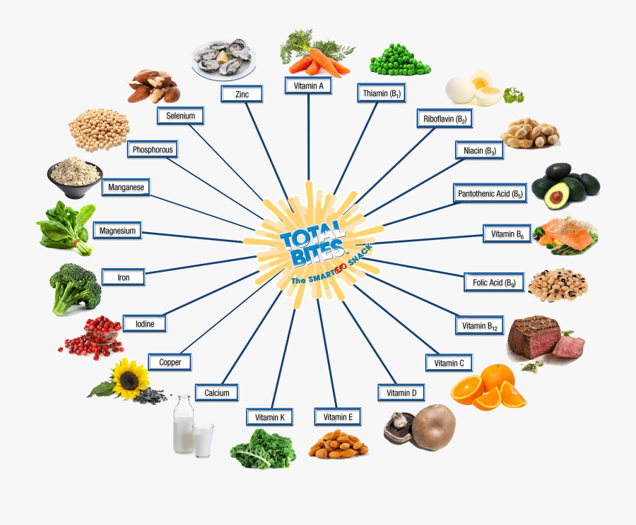 Be Your Best Nutrition, Bybn, Total Bites, Active Seniors, - Nutrition Chart For Kids, Transparent Clipart