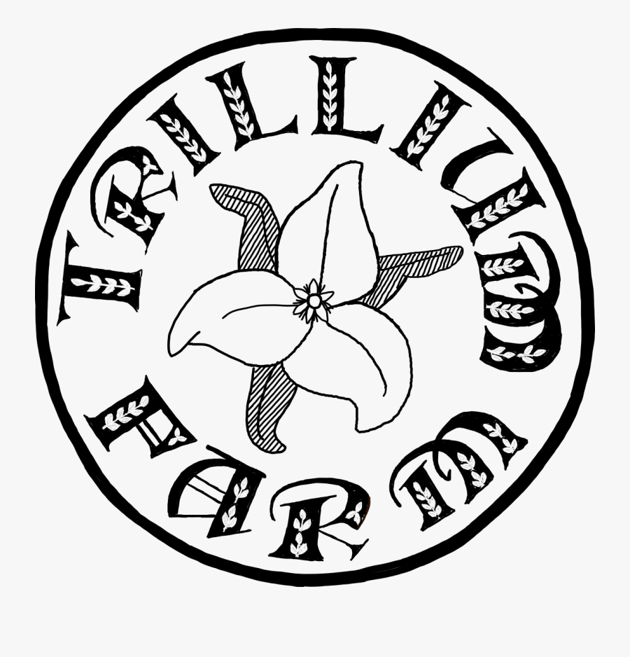 Trillium Drawing Western - Brandy Melville Tumblr Stickers, Transparent Clipart