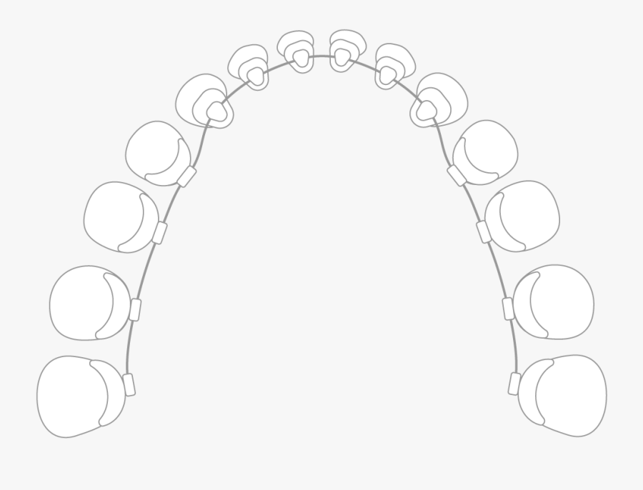 Fireworks, Transparent Clipart