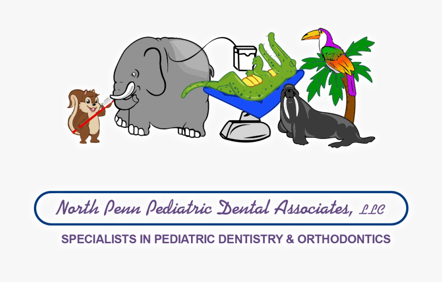 North Penn Pediatric Dental Associates Llc, Transparent Clipart