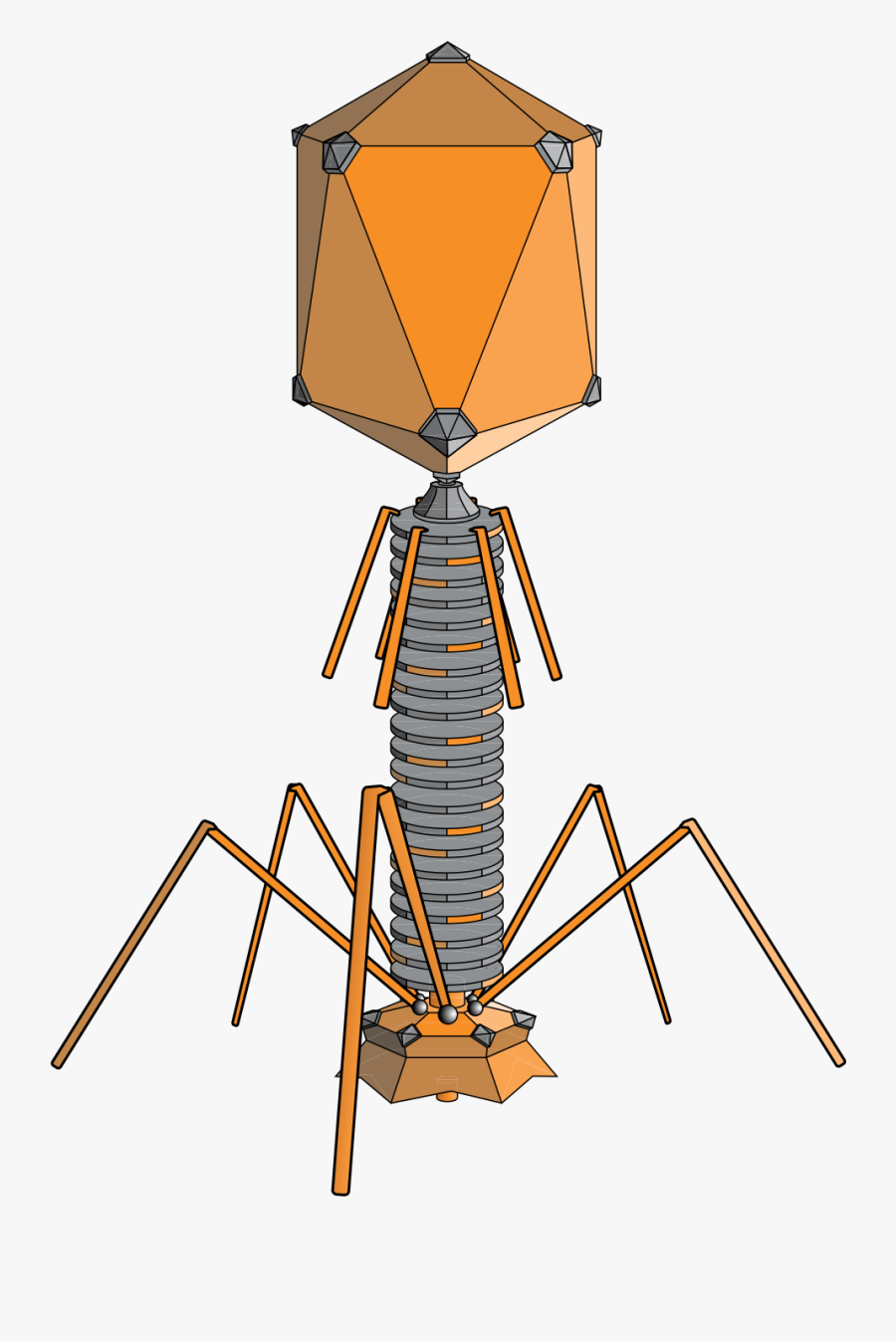 Virus Bacteriophage, Transparent Clipart