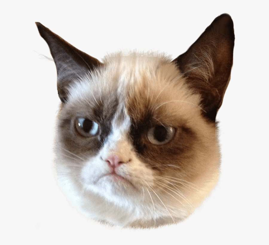 Grumpy Cat Head Clip Arts - Grumpy Cat Face Png, Transparent Clipart