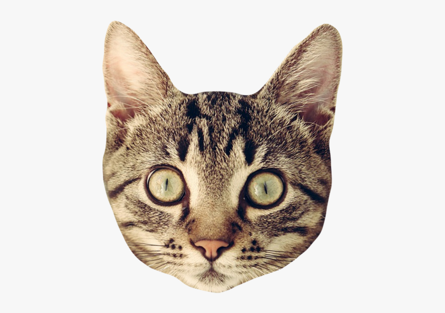 Cat Head Sticker Png - Cat Head Transparent Background, Transparent Clipart