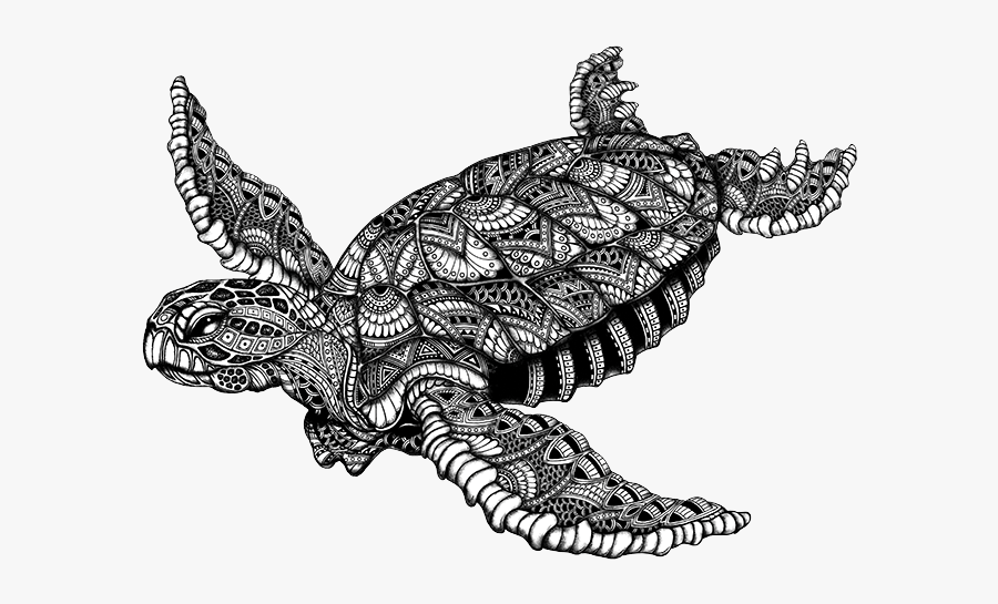 Black And White Designed Sea Turtle, Transparent Clipart