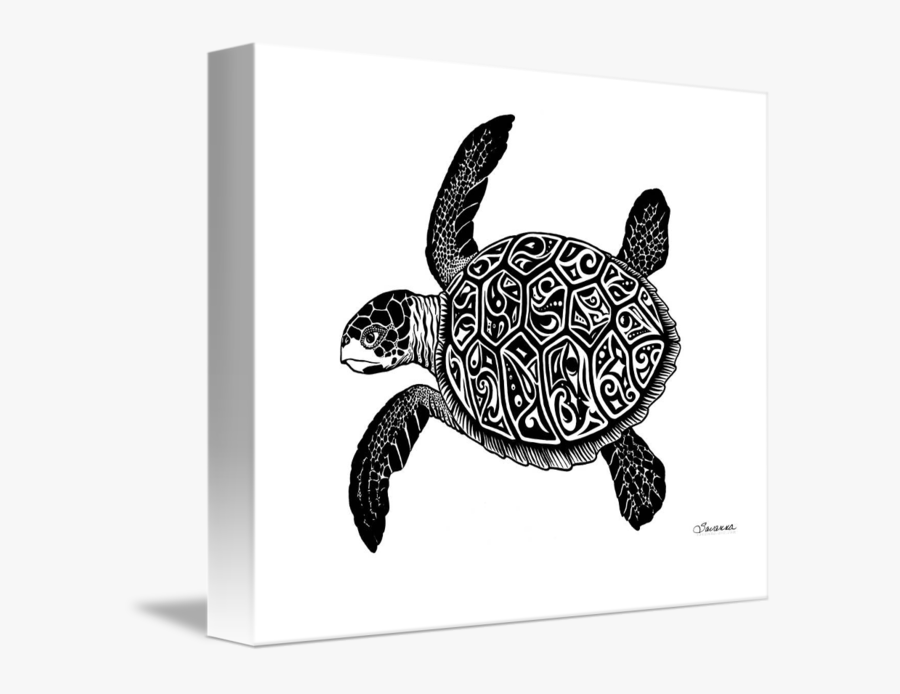 Bay Drawing Ink - Sea Turtle Drawings, Transparent Clipart