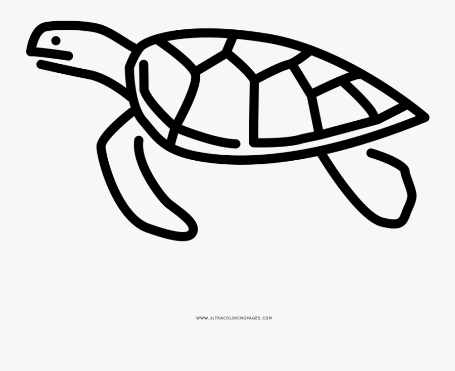 Sea Turtle Coloring Page - Sea Turtle Png Drawing, Transparent Clipart
